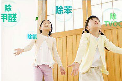 室內(nèi)空氣污染對人體帶來危害的嚴(yán)重性