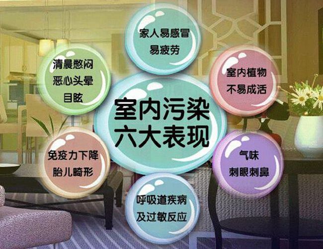 你的禿可能不是因?yàn)榘疽?，而是甲醛中毒的癥狀之一！